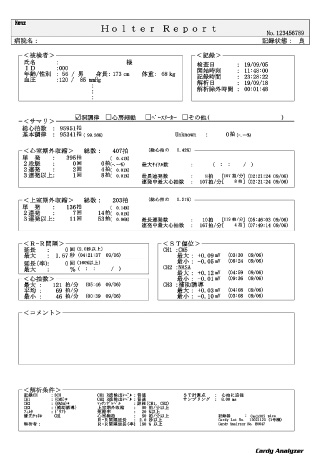 解析レポート